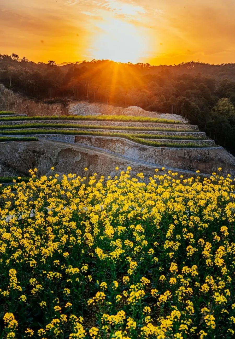 台州藏在深山里的世外桃源,台州家乡春天的美景