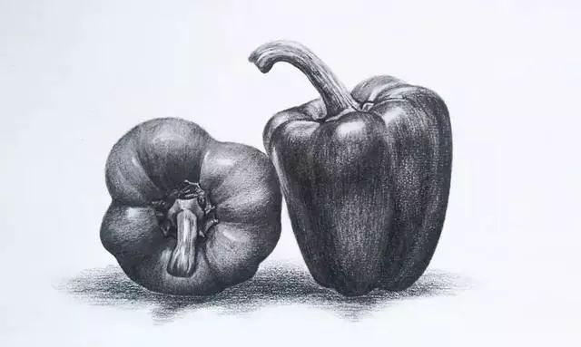 素描彩铅蔬菜画,蔬菜素描画法步骤图