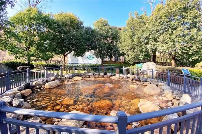 好消息宾馆优惠,云南哪些景点教师证有优惠