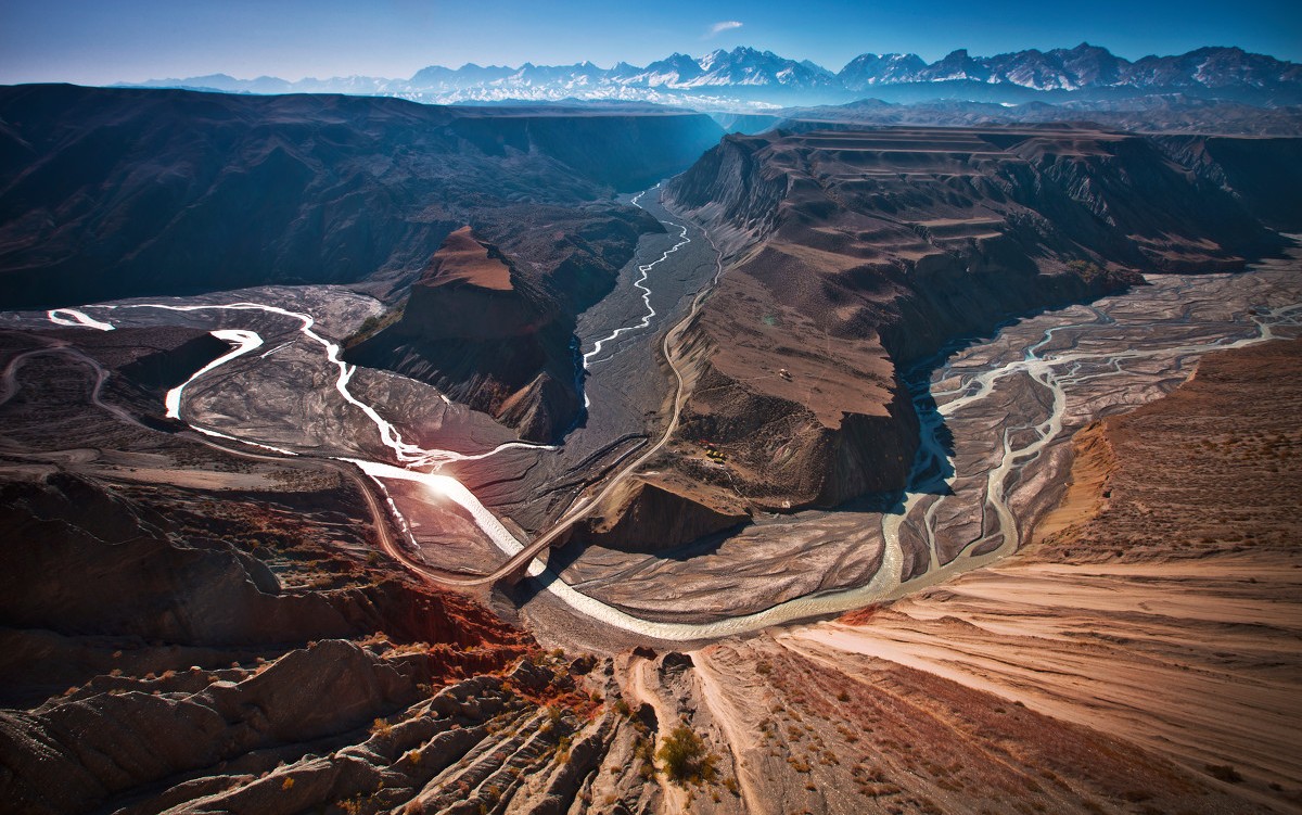梵高画不出的向日葵,梵高画中的风景