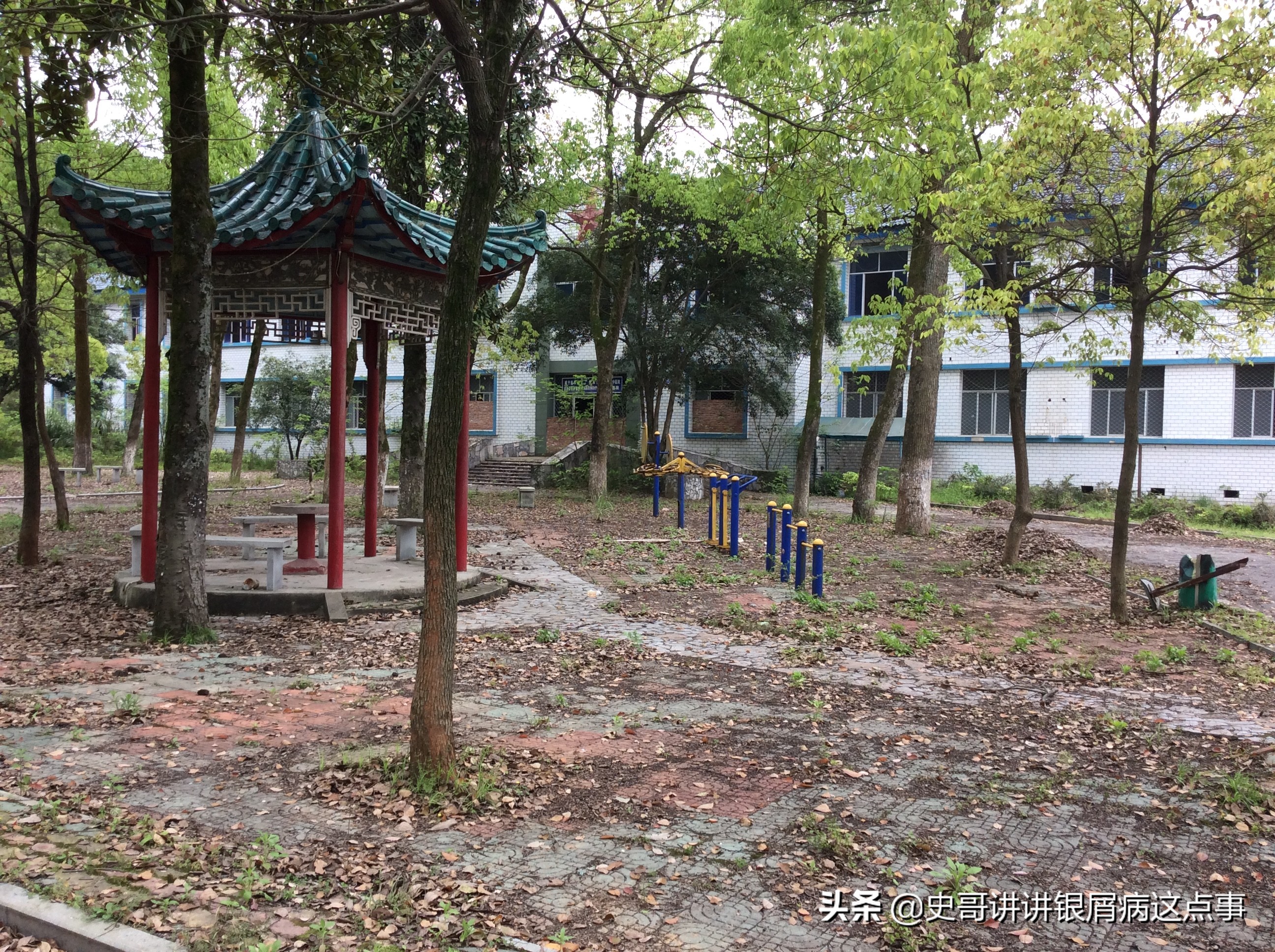 咸宁195医院最新状况,咸宁195医院新址