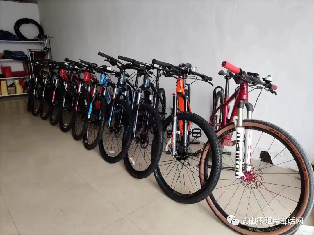 武山龙台油菜花节,湖口县武山油菜花节