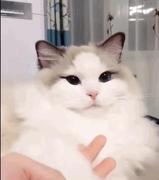 甭管啥就盘它,甭管什么东西盘它原版