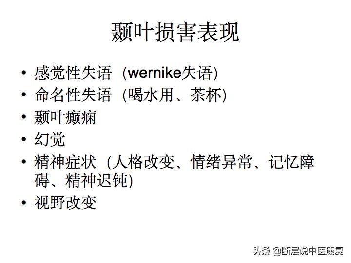 中枢神经系统断层解剖讲解,中枢神经3d解剖动画