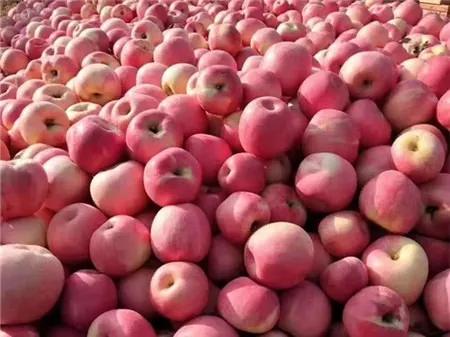 战疫助农滞销品突然销售火爆,战疫助农数据