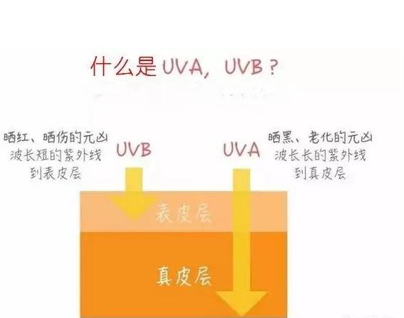 怎样买防晒霜是正确的,如何购买合适的防晒霜
