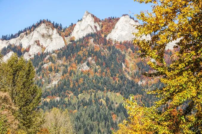 波兰记游记,游记波兰