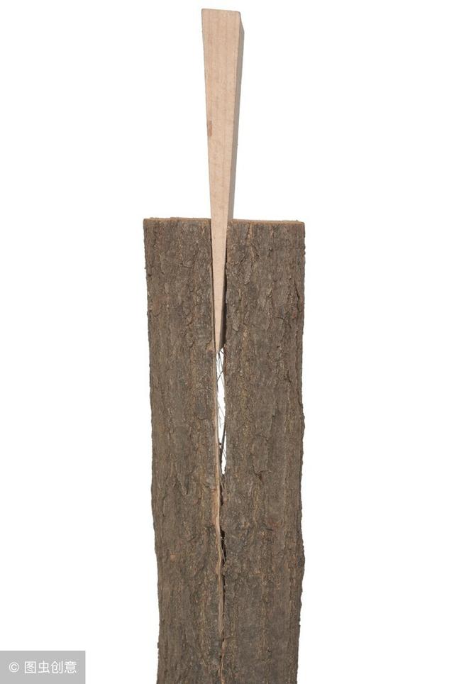 金圣叹版水浒传在线阅读,金圣叹评说水浒传在线阅读