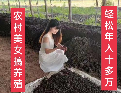 投资少见效快的养殖项目,投资小见效快的养殖好项目赚钱