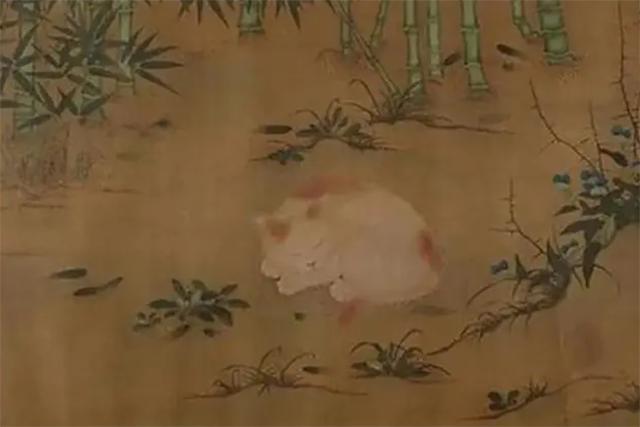 中国人为啥不吃猫原来原因在这里,中国人为什么不吃掉猫