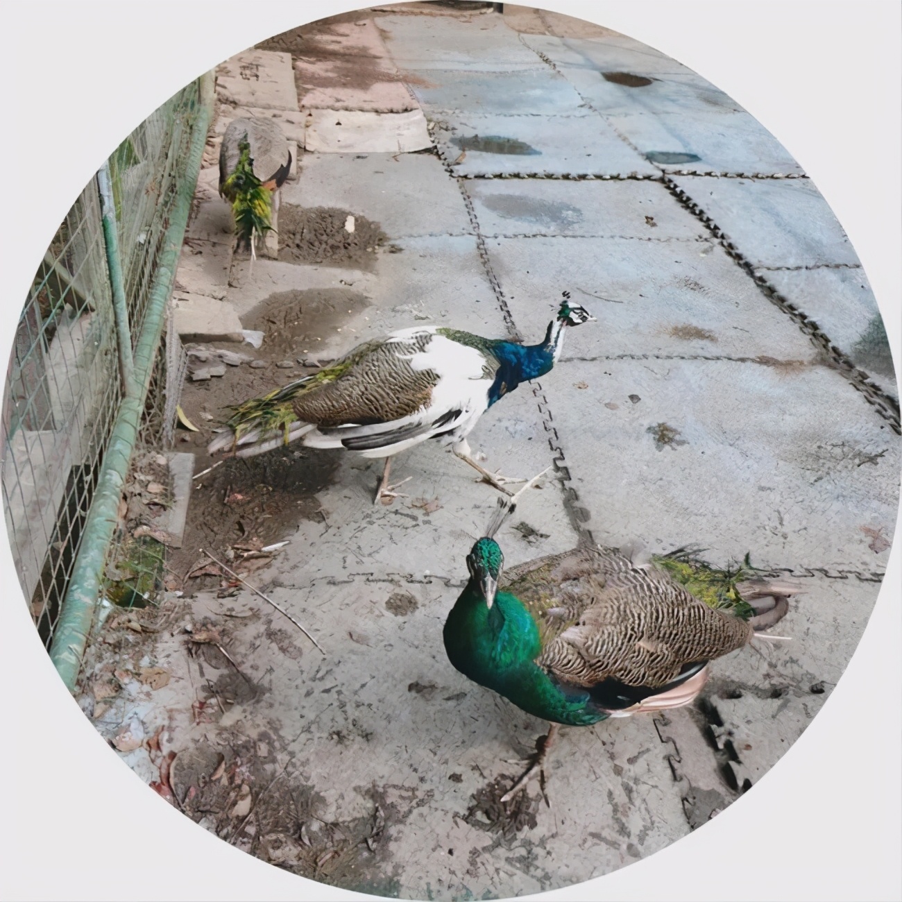 放飞的周末时光,放飞自我的周末时光