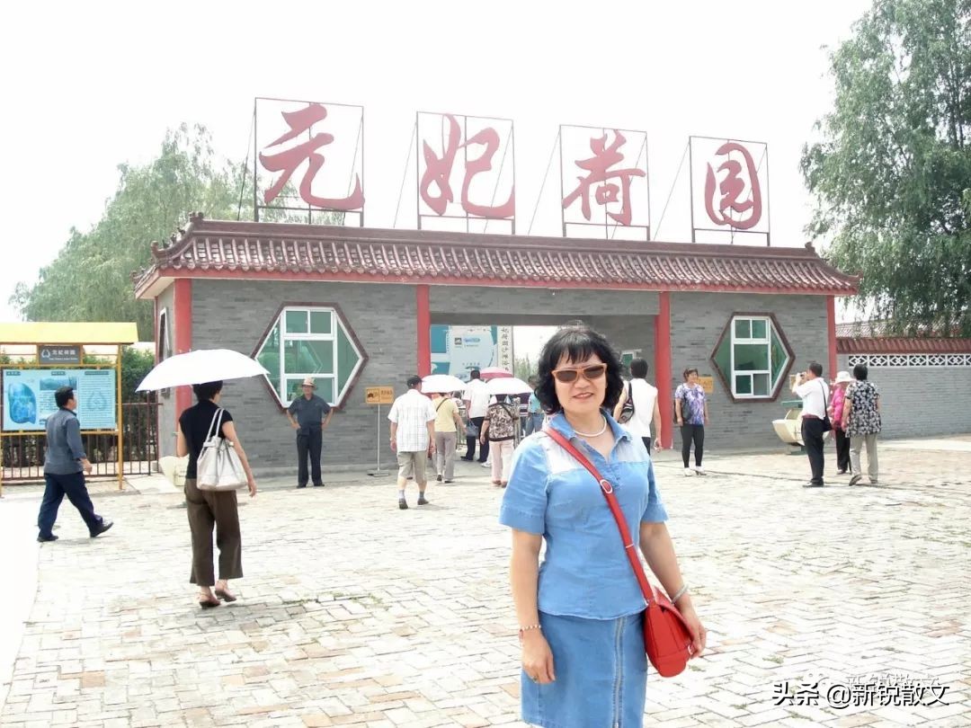 你婆婆再活三辈子也赶不上我！虽处同一时代，母亲和婆婆截然不同