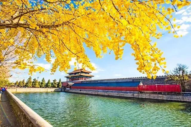 北京是一座怎么样城市,北京是一座怎么样的城市