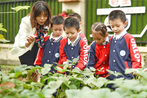 家门口的好幼儿园,家门口的好学校有哪些建议