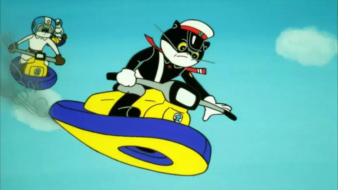 这只黑猫我等了30多年，今天终于断了念想