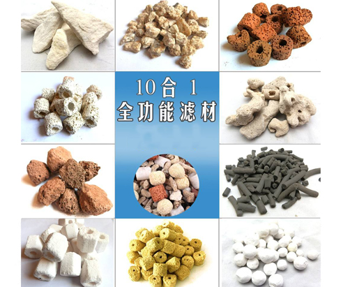 新手客厅鱼缸怎么养鱼,鱼缸养鱼新手入门教程