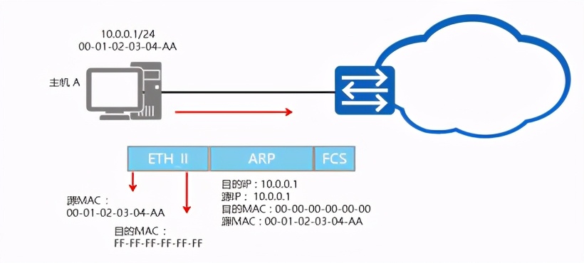 网工必看的好书,网工必读两本书