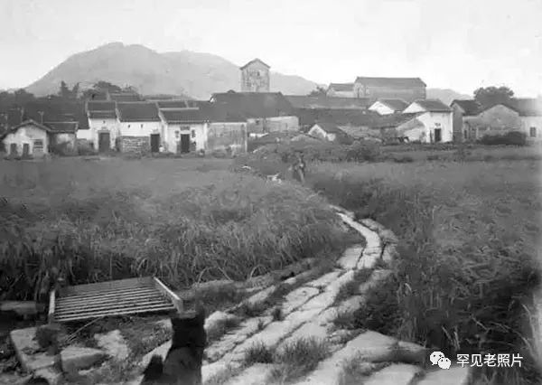 深圳市百年前的风景,百年前的深圳您见过吗
