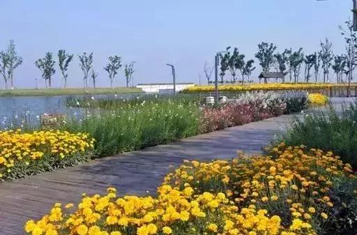 狂飙18级,狂飙18集公路飙车片段在哪