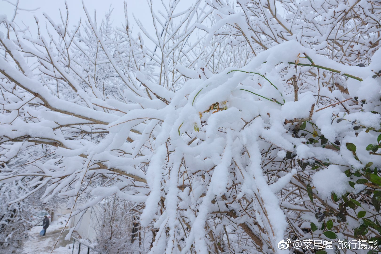 贝尔格莱德旅游免签,东欧冬天旅游攻略