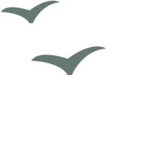 天问一号登陆火星的全过程讲解,天问一号环绕火星之旅感悟