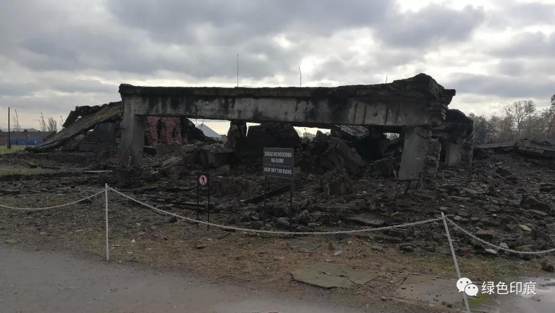 奥斯维辛集中营旅游,奥斯维辛集中营雏菊