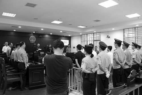 野猪400多公斤咬死老虎,野猪被斩断