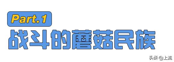 为啥俄罗斯大汉总是背着老婆钻树林？