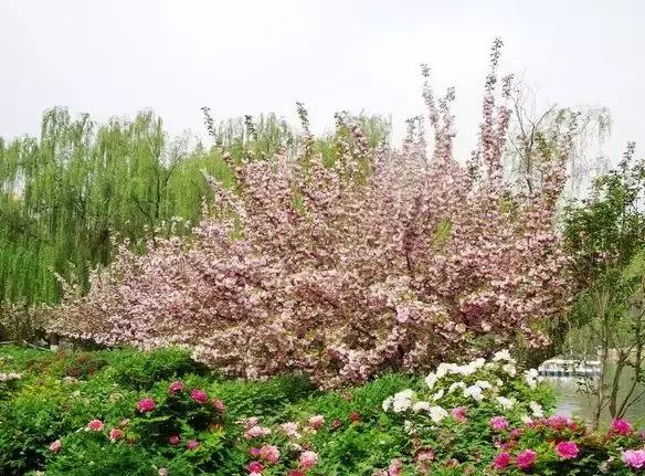 随便选个地方旅游,西安周边海边游玩景点推荐