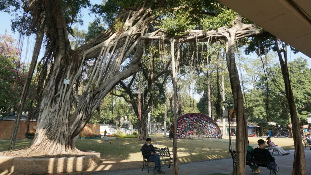 广州最北的地方,广州景区沙面岛