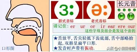 48个英语国际音标发音表高清图片,英语48个国际音标正确读法与讲解