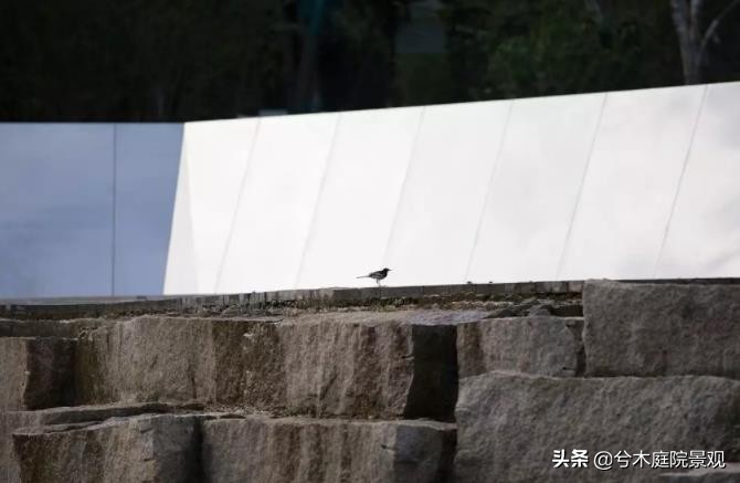 广场园林景观设计有哪些,园林景观设计墙角