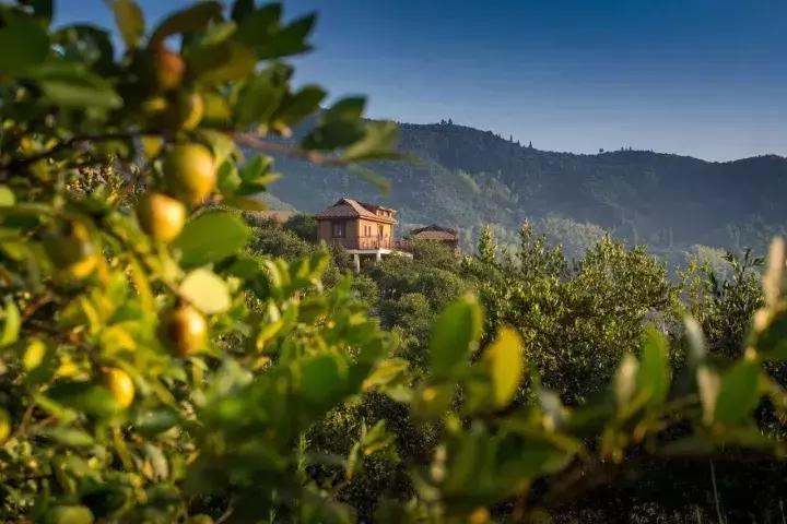 央视挖出来浙江冷门小城，小小鸭头都是世间绝味，人均100+住别墅