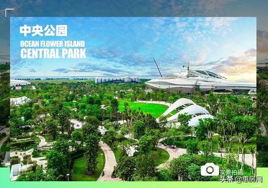 海花岛免税购物中心有哪些产品,海花岛哪里有特产卖