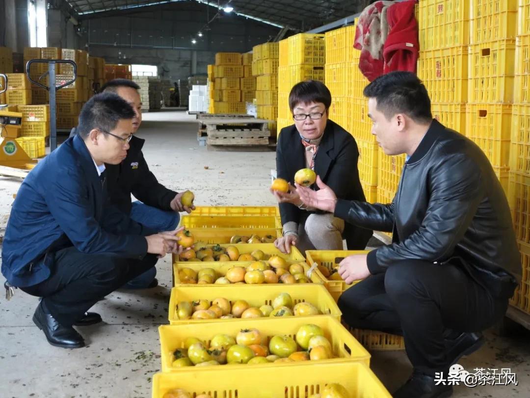 贫困县扶上马送一程,扶上马送一程确保脱贫经得起检验