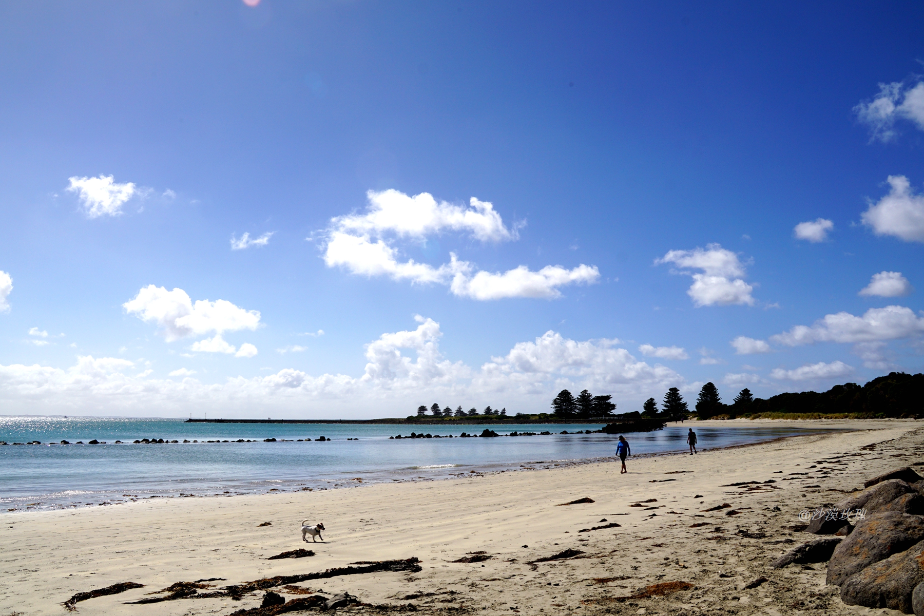 奔富葡萄酒的文化,奔富属于哪类葡萄酒
