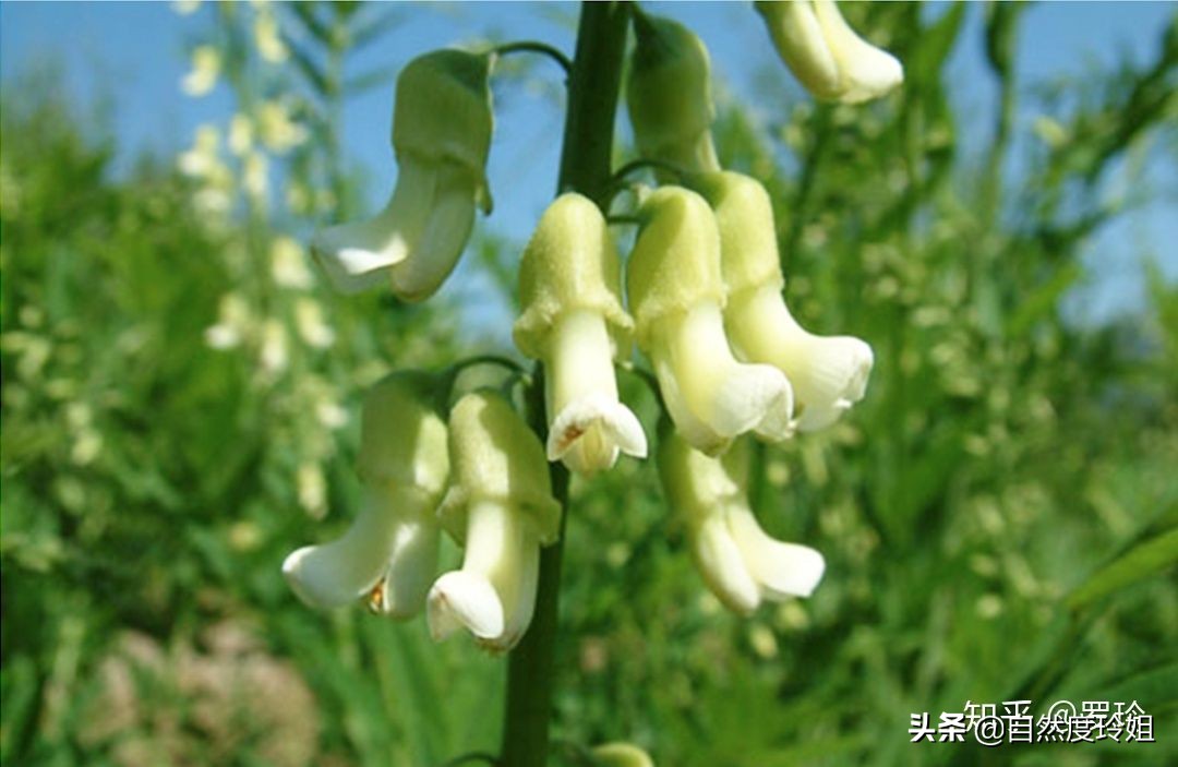 如何快速改善素颜皮肤,怎么做到皮肤又白又发光素颜