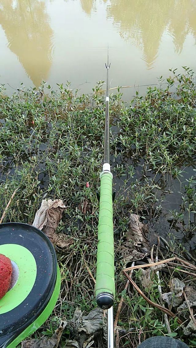 新手钓鱼选择什么鱼竿,新手钓鱼用什么调性鱼竿合适