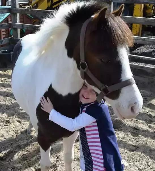 欧洲马术夏令营,草原马术夏令营
