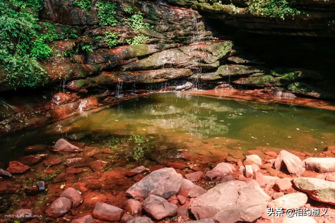 赤水大瀑布 侏罗纪公园 (世界唯一保留的侏罗纪原始公园)