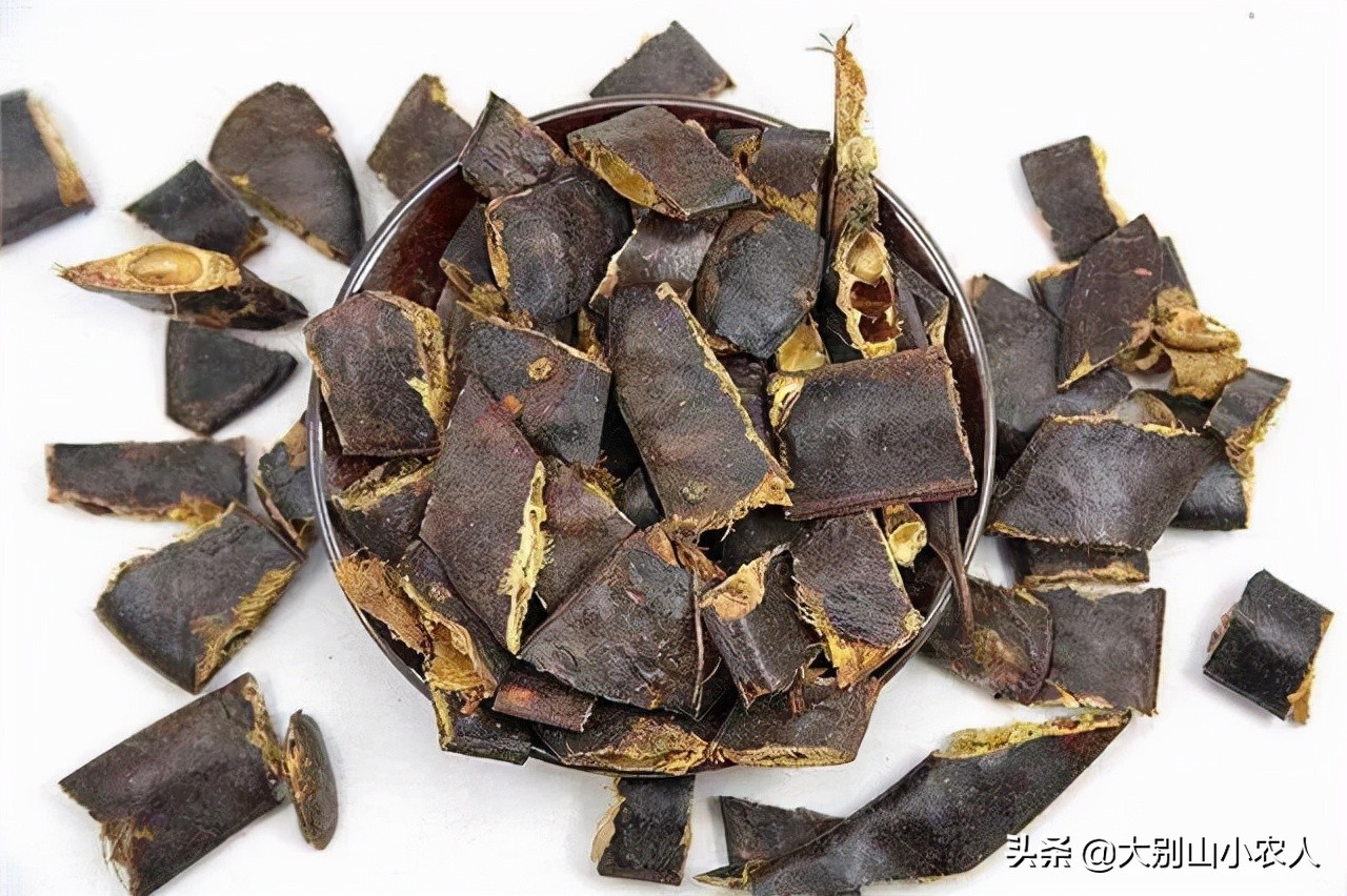 疯狂的皂荚树：热潮后被嫌弃，因能解除“卡脖子”危机又王者归来