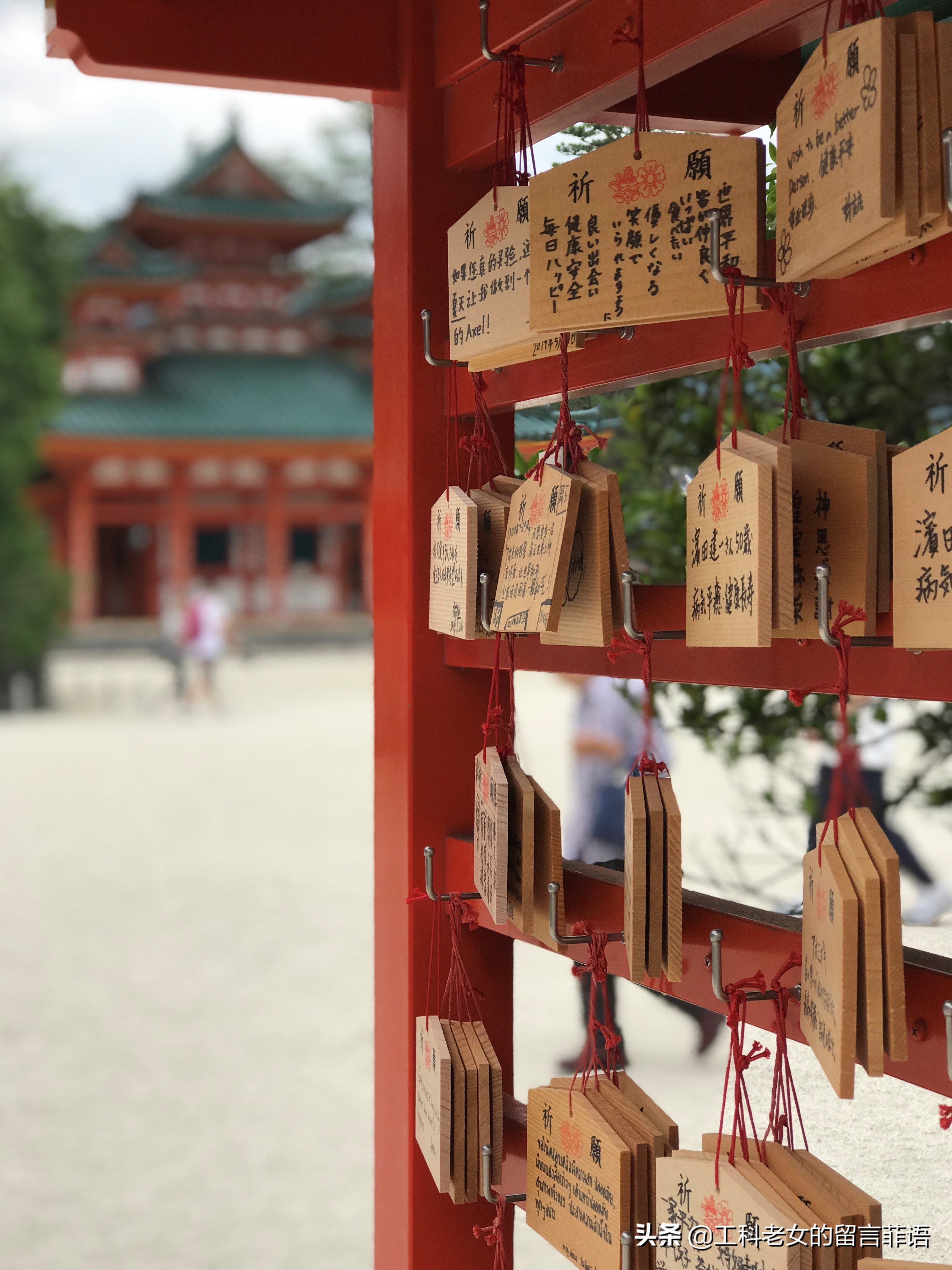 京都之因喜欢这神社的名字就在此卜了一签,却不认字