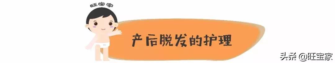 生娃是罐秃顶剂,从此我变成了裘千尺