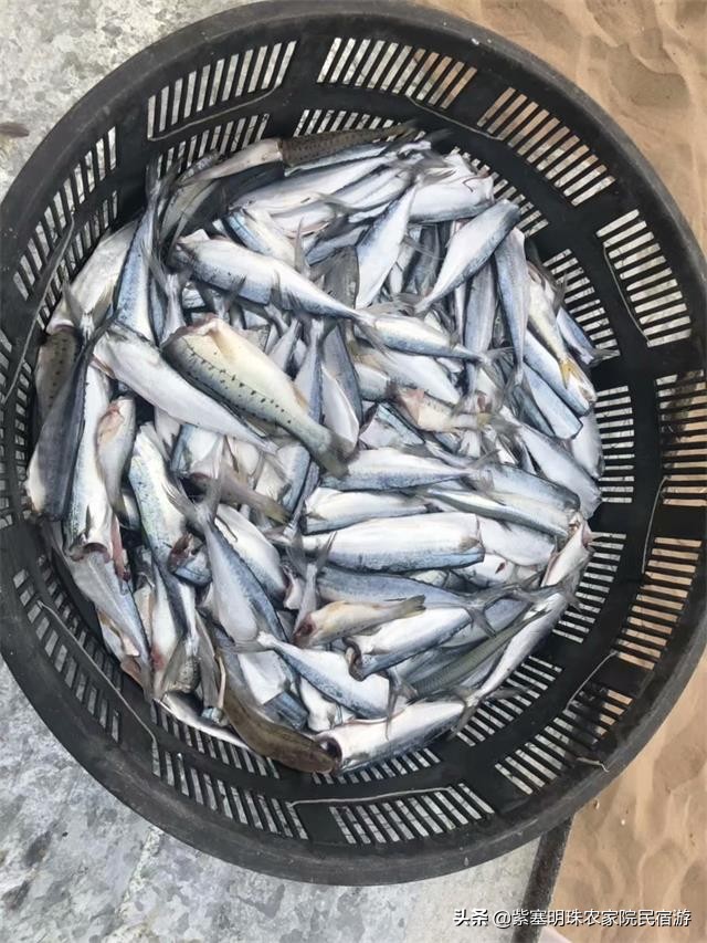 辽宁东戴河观海度假村,辽宁东戴河的景点