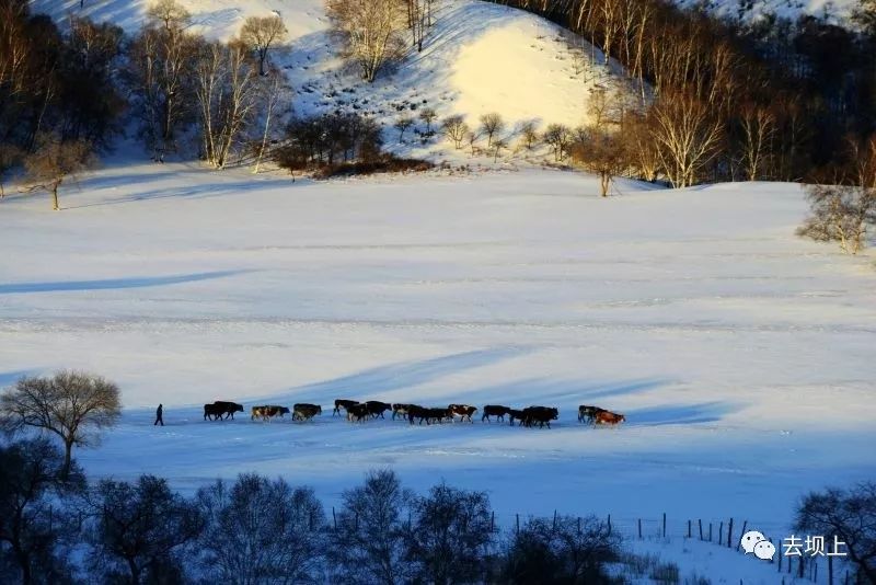 坝上摄影攻略,坝上夏季摄影