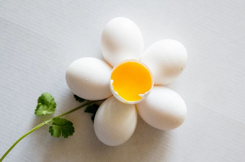 牛羊猪鸡鱼哪个营养价值最高,牛羊猪鱼营养对比