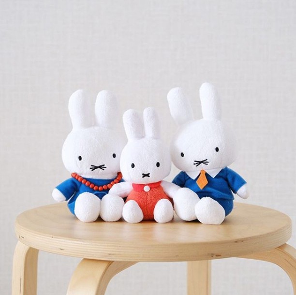 strathberry日本,strathberry棕色