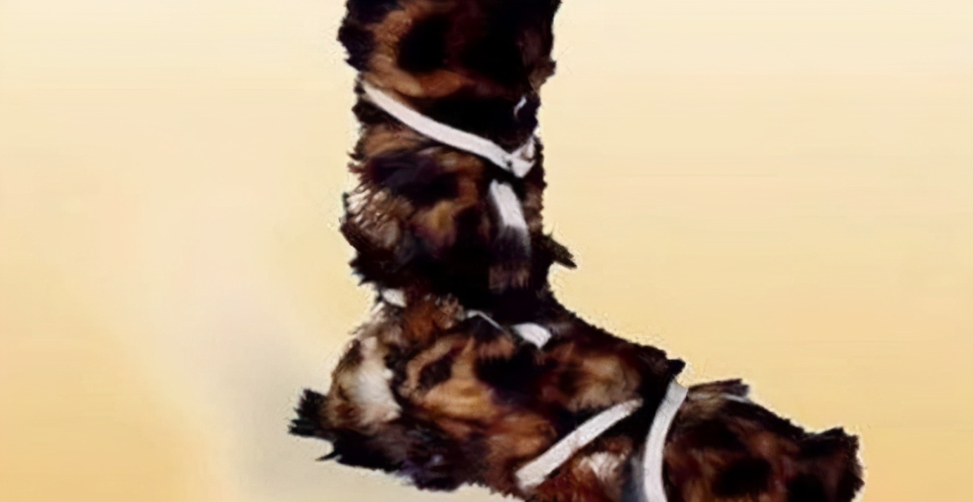 鞋从古至今都一个样,从古至今鞋的演变过程