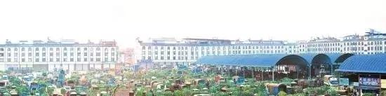 开封菜农自产自销蔬菜批发市场,中国蔬菜批发价格表