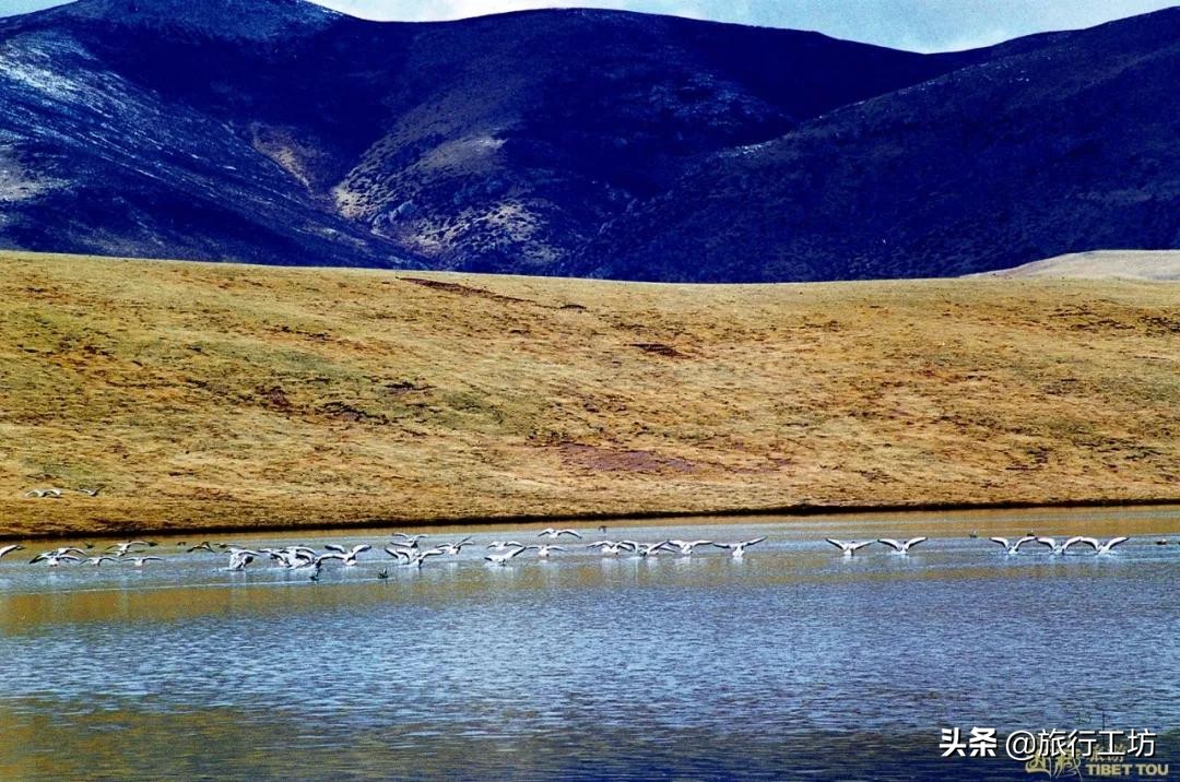 西藏昌都最好玩的是哪个景点,昌都必去十大景点排名